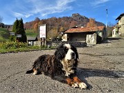 Madonna delle Cime sul Corno Zuccone da Reggetto di Vedeseta-19nov21- FOTOGALLERY